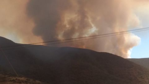 Vídeo: Incendio forestal en Villa Bonita