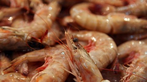 Sentencian a 723 años de prisión a dueños de restaurante por estafa en buffet