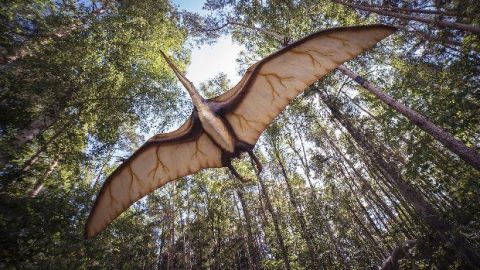 ¡Como en Jurassic Park! Científicos trabajan en recrear dinosaurios vivos