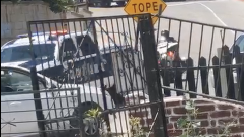 Balean a policías en Tijuana, dos ministeriales heridos, un atacante muerto