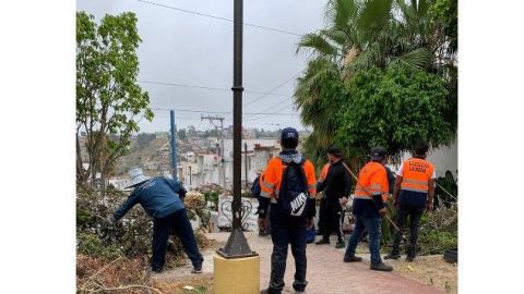 Limpian y forestan parques a ricos de Tijuana