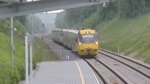 VIDEO: Lomito ''detiene'' tren que estaba a punto de atropellarlo