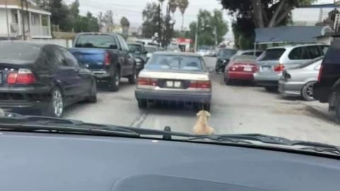 VIDEO: Indigna hombre que arrastra a un perro desde su carro