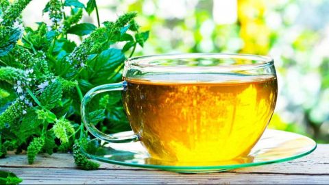 Descubre las propiedades del té verde y los aportes a tu salud