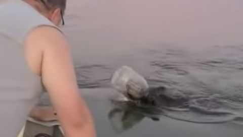 VIDEO: ¡HÉROES!, rescatan a oso con un bote atorado en la cabeza en un lago