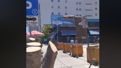 Cortaron árboles para que luciera el letrero de su restaurante en Zona Río