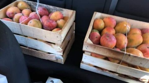 Comerciante se queda con cajas de mangos, las oferta a mitad de precio