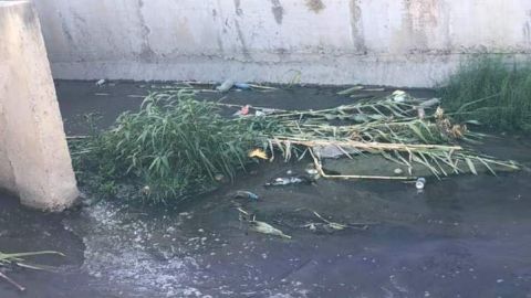 Ciudadanos tiran basura en canales