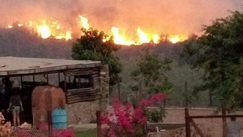 Sigue activo incendio forestal en Santo Tomás