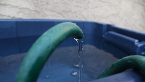 Váyanse acostumbrando a la falta de agua: CESPT