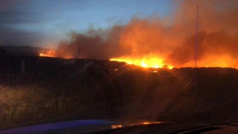 Fuerte incendio en Ensenada, 8 mil hectáreas hasta el momento