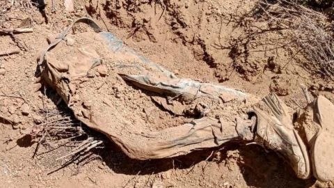 Hallan restos humanos en Valle San Pedro