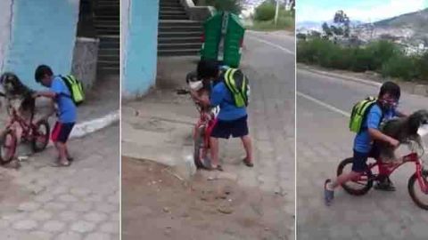 Video: Niño le pone cubrebocas a su perrito antes de salir de casa