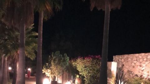 Cancelan boda y fiesta electrónica en Valle de Guadalupe