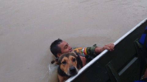 Familia salva a perritos de inundación causada por huracán Hanna