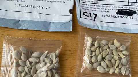 EE.UU. advierte a las personas sobre paquetes sospechosos de 'semillas chinas'