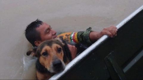 Militar rescata a perrito durante inundaciones en Tamaulipas y se vuelve viral