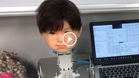 VIDEO: Diseñan a ''niño'' robot que puede experimentar dolor 😱