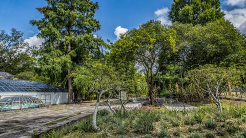 Pretenden arrasar Jardín Botánico para construir museo en Chapultepec