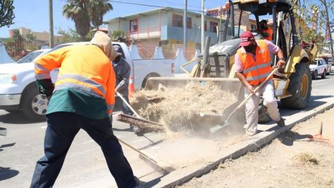 Con ayuda de la población, alcalde de Tijuana supervisa limpieza en el Cucapah