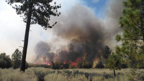 Clima complica control de incendios en la Sierra