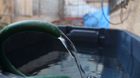 ¡Va de nuez! | Conoce el listado de colonias que se quedarán sin agua en Tijuana