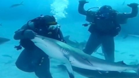 Mike Tyson nada con tiburones
