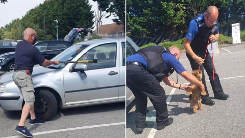 Para salvar a un perrito del calor, hombre rompe la ventana de auto con un hacha