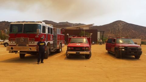 Siguen activos incendios forestales en Ensenada