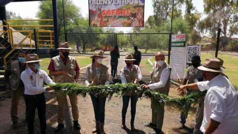 Inauguran paseo safari en el Bosque de la Ciudad de Mexicali