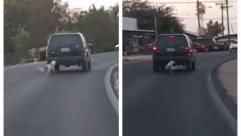 VIDEO: Desalmados amarran a un perrito a camioneta y lo arrastran por la calle