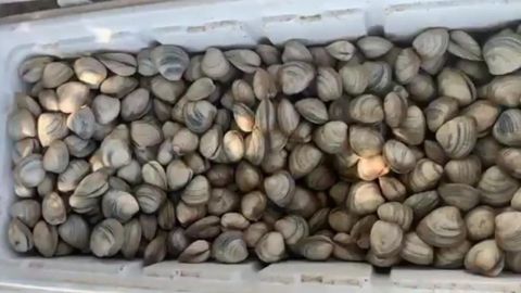 Suspenden venta de producto de San Felipe en Mexicali