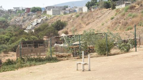 Área verde será utilizada para fines filantrópicos