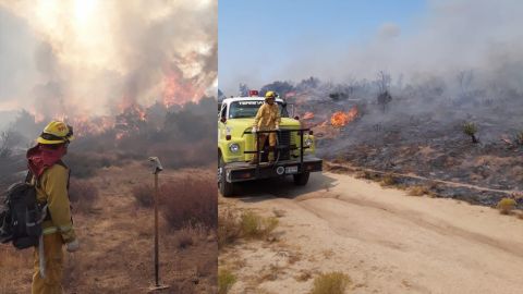 Siguen incendios forestales en Tecate