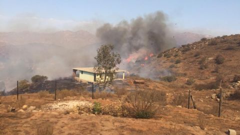 Incendio de pastizal amenaza UABC Valle Las Palmas