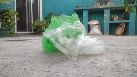 A partir de marzo, multas por uso de bolsas de plástico