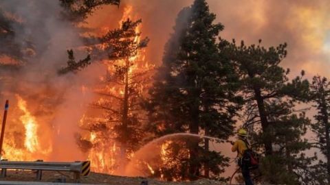 Incendio de Los Ángeles destruye al menos 29 edificaciones y continúa activo