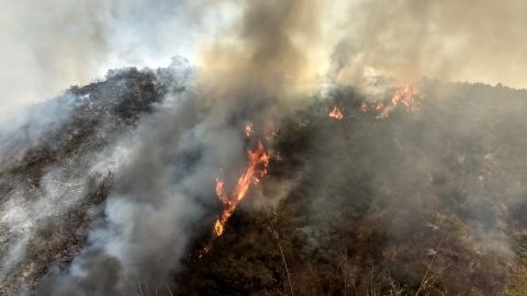 Se reactivan incendios forestales