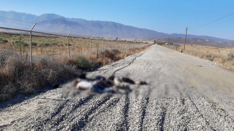 Tres ejecutados en Tecate