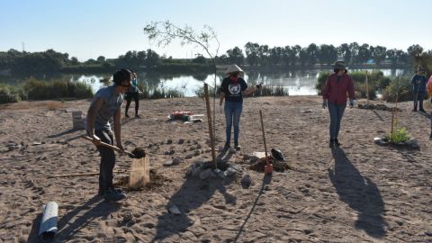 Reinician actividades en la Laguna México