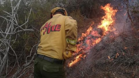 Combaten incendio forestal en Eréndira