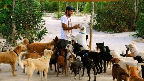 Hombre resguarda a 300 perros en su casa por huracán ''Delta''