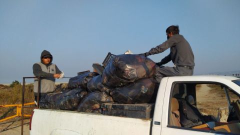 Se duplicó la recolección de basura en playas de Ensenada