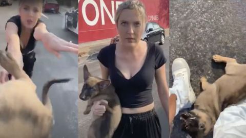 VIDEO: Mujer loca lanza cachorro a un hombre; perrito comienza a llorar