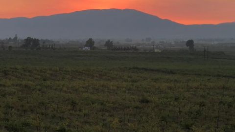 Vigilarán ordenamiento de la Ruta del Vino