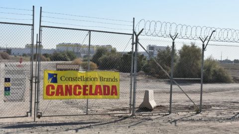 Hacen plantón en instalaciones de Constellation Brands en Mexicali