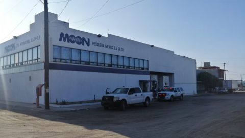 Clausuran empresa Moon Pesquera de México