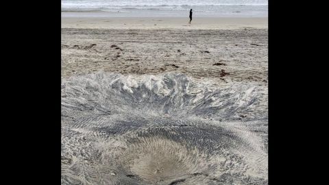 Contradice la CESPT al Ayuntamiento: no hubo derrame en Playas