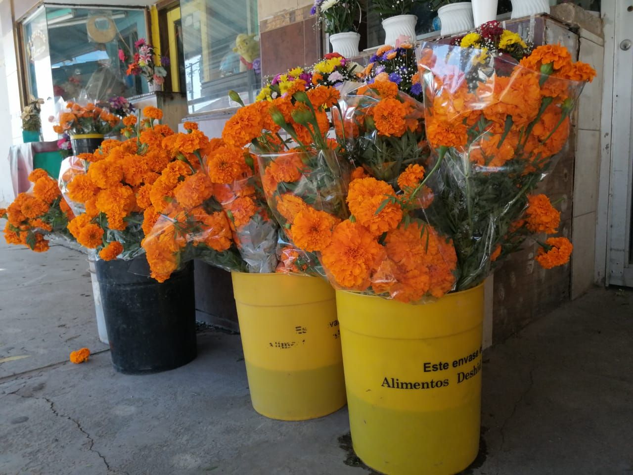 Florerías sin ventas este día de muertos en Mexicali