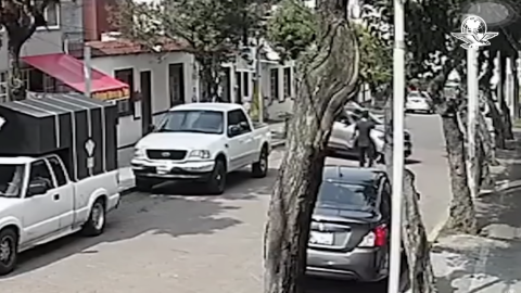 VIDEO: Camioneta pasa por encima de joven con todo y perro